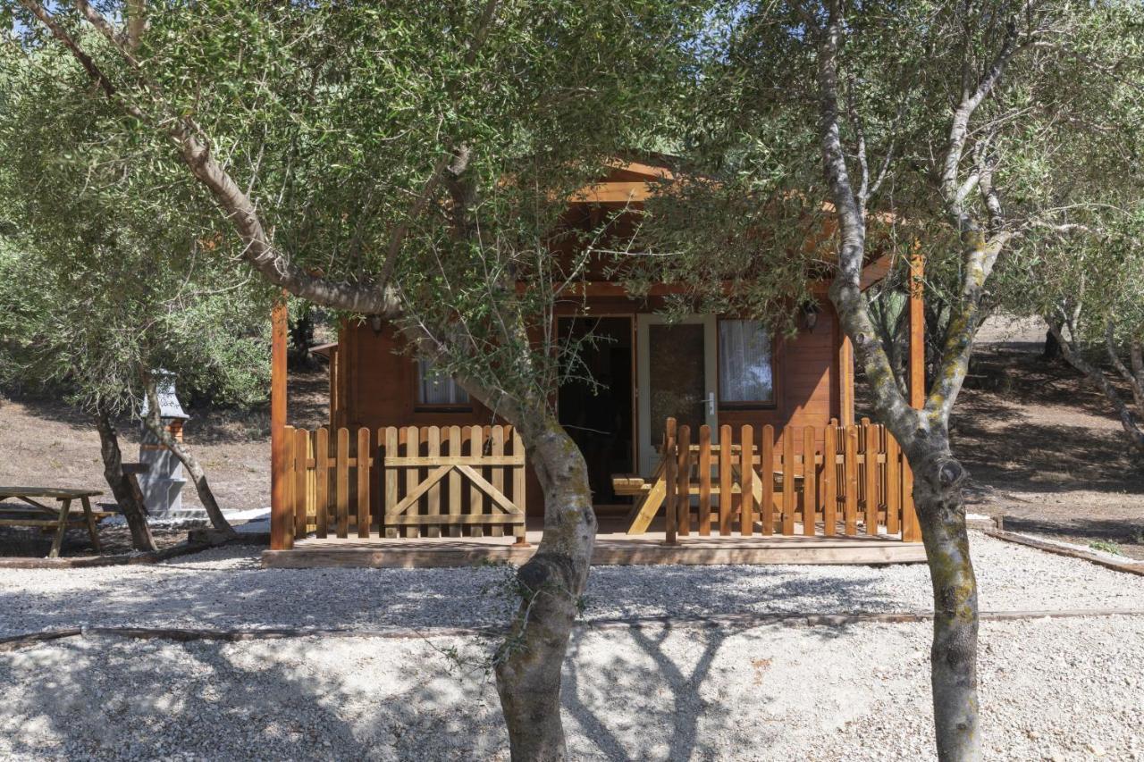 Finca Florida Benalup-Casas Viejas Dış mekan fotoğraf