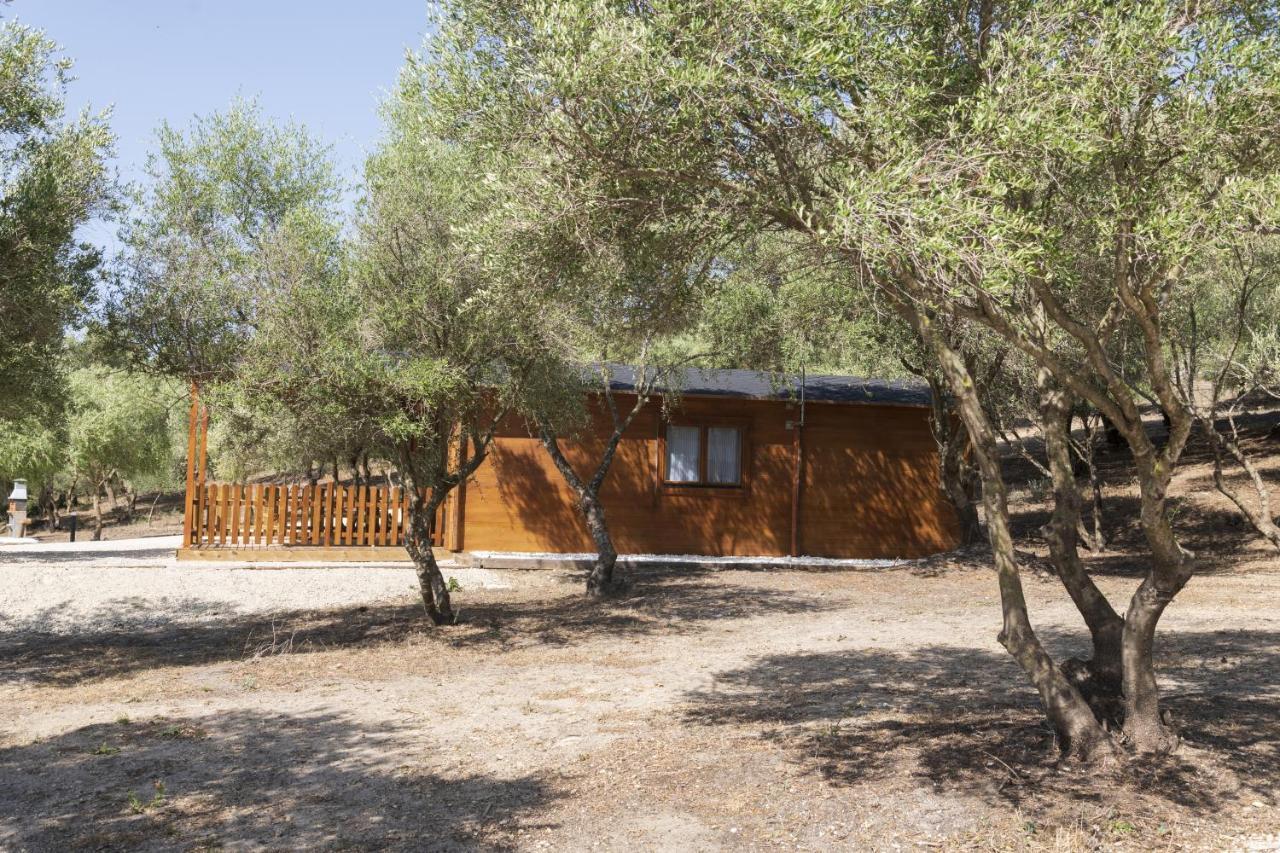 Finca Florida Benalup-Casas Viejas Dış mekan fotoğraf