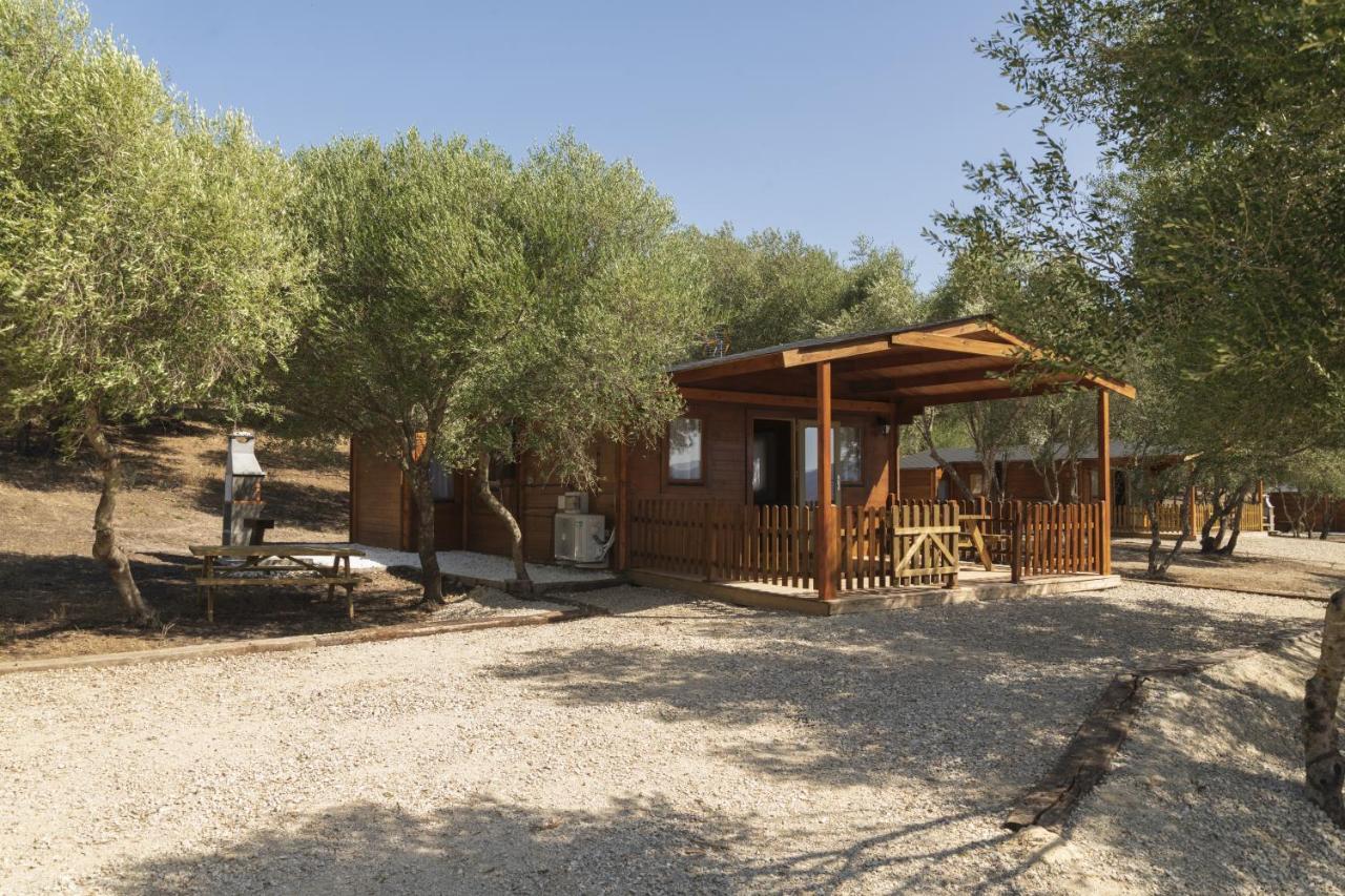 Finca Florida Benalup-Casas Viejas Dış mekan fotoğraf