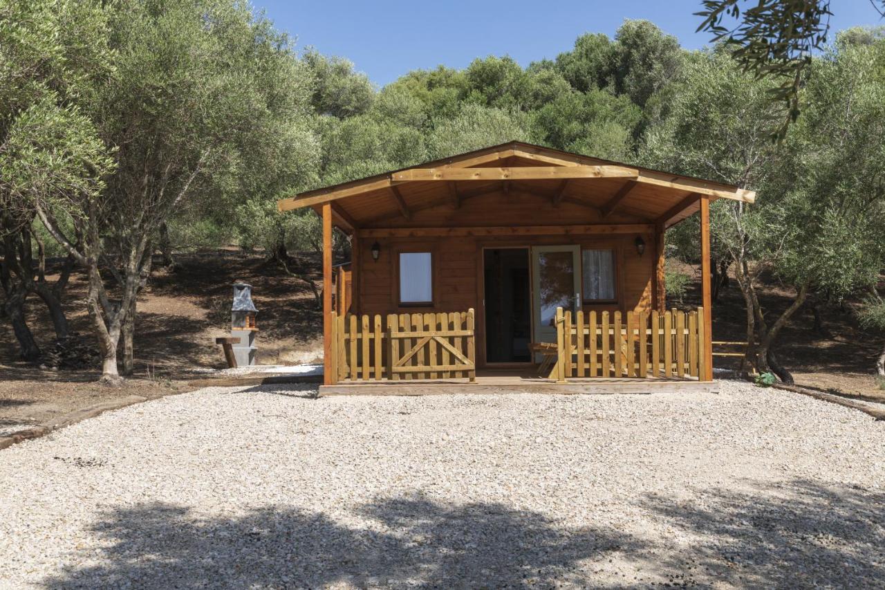 Finca Florida Benalup-Casas Viejas Dış mekan fotoğraf