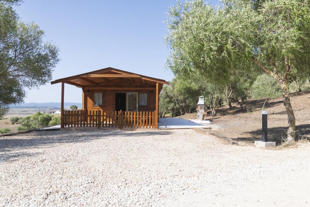 Finca Florida Benalup-Casas Viejas Dış mekan fotoğraf