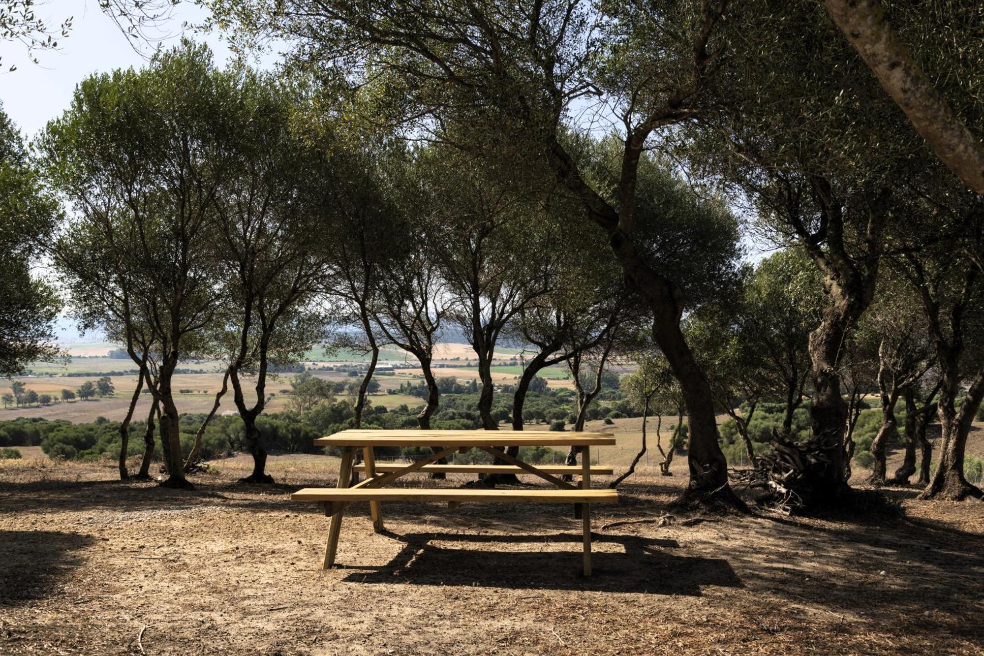 Finca Florida Benalup-Casas Viejas Dış mekan fotoğraf